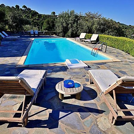 סקופלוס טאון Danai Villa מראה חיצוני תמונה