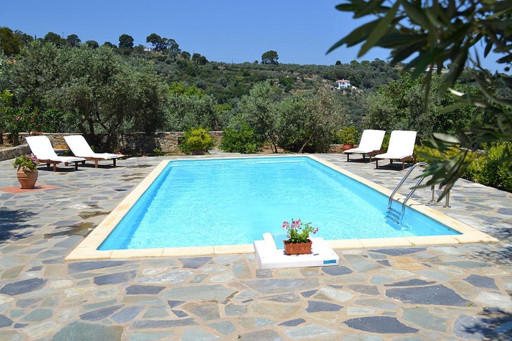 סקופלוס טאון Danai Villa מראה חיצוני תמונה